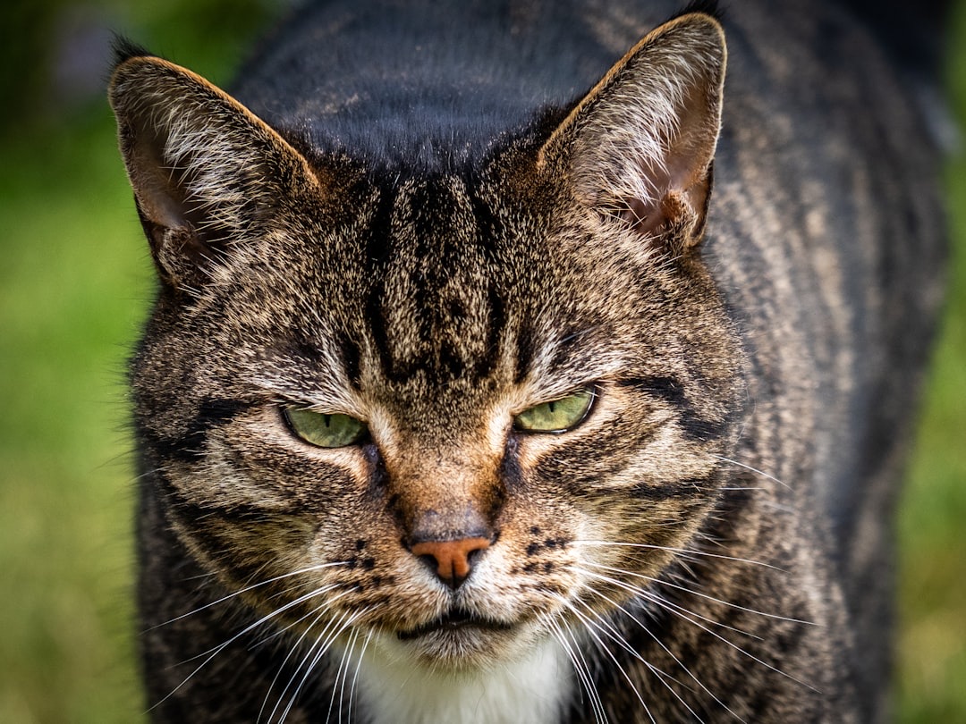 Photo by Doncoombez on Unsplash Photo by Doncoombez on Unsplash